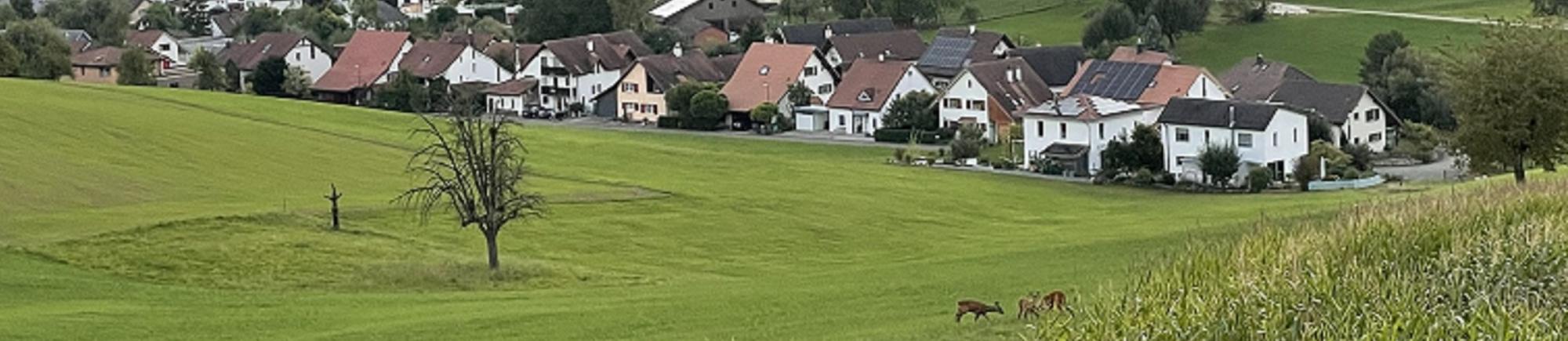 Sommer
