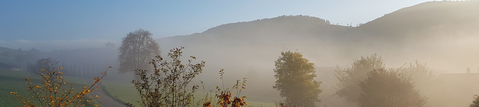 Herbst